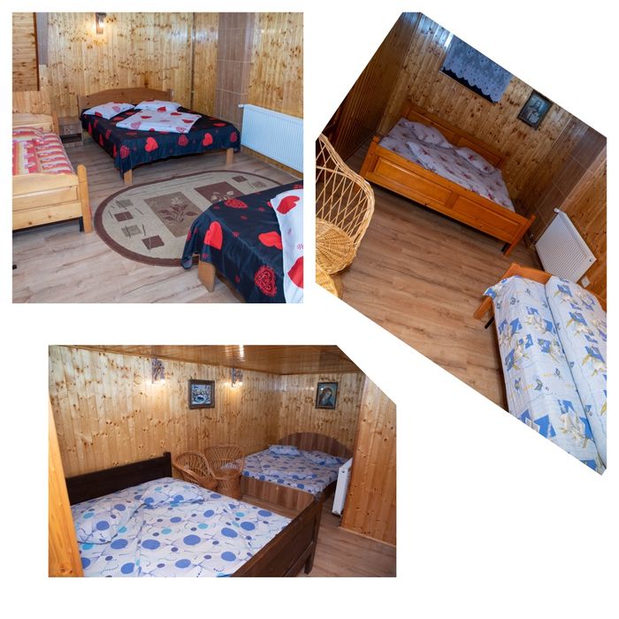 Cabană de închiriat/ Casă de vacanță AVI HOUSE Valea Avrigului.