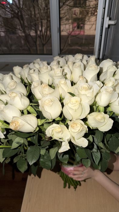 Срочно! 101 ақ роза