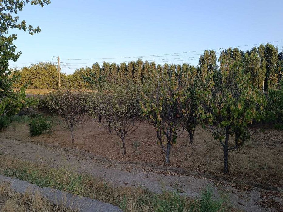 Дачный участок город Ангрен