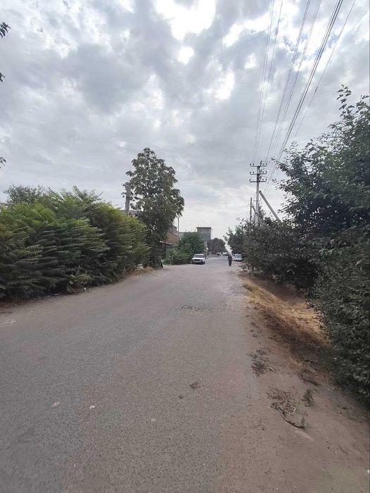 Уй Зангиота Зиёратгохи якинида 4,5 сотих