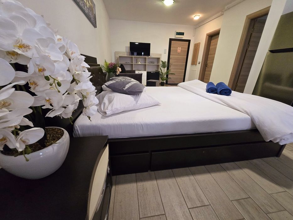 Cazare Muncitori / Apartamente / Studiouri Regim Hotelier Constant