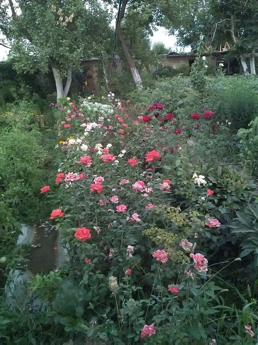 Продается дача на Чолдале