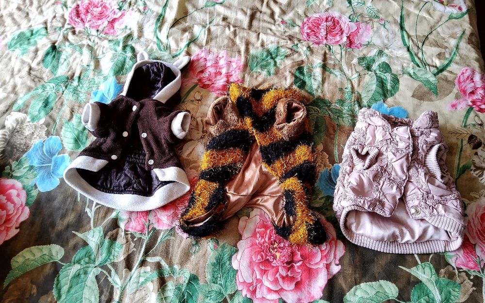 Продам одежду для маленькой собачки .