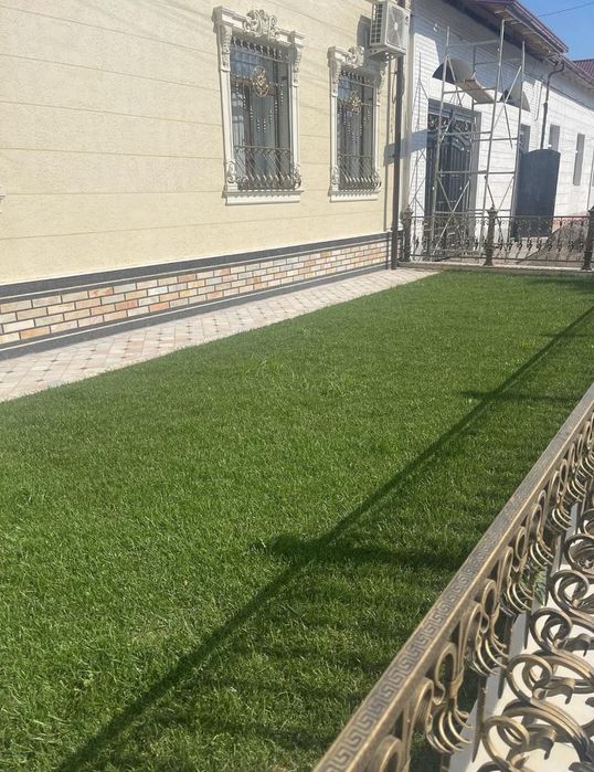 Посевной газон,рулоный,полив и микроклимат