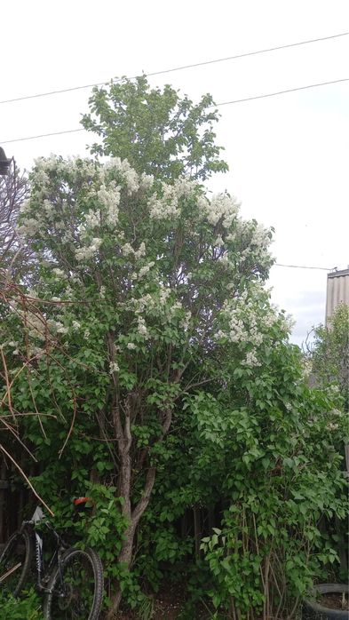 Продается ДАЧА!!!