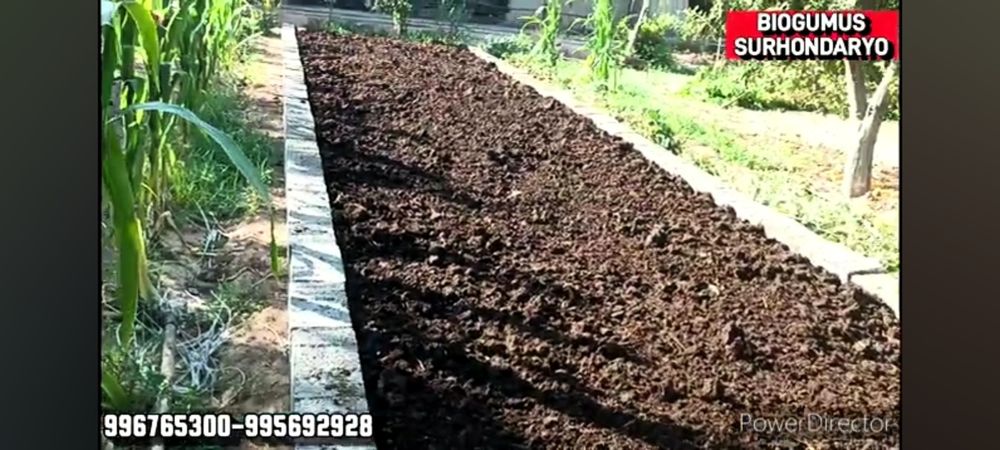 Biogumus va chuvalchang