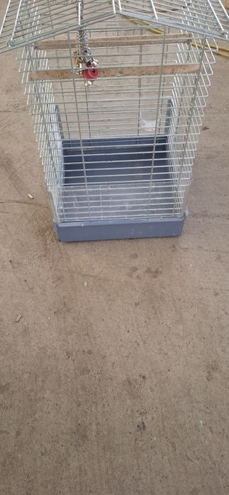 Vănd colivie papagali  Imac.