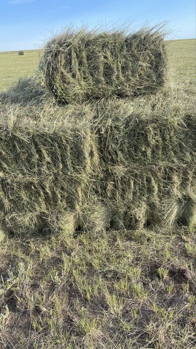Продам сена в тюк лугавоие