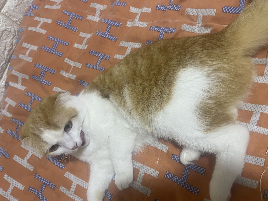 Срочно продается!!!