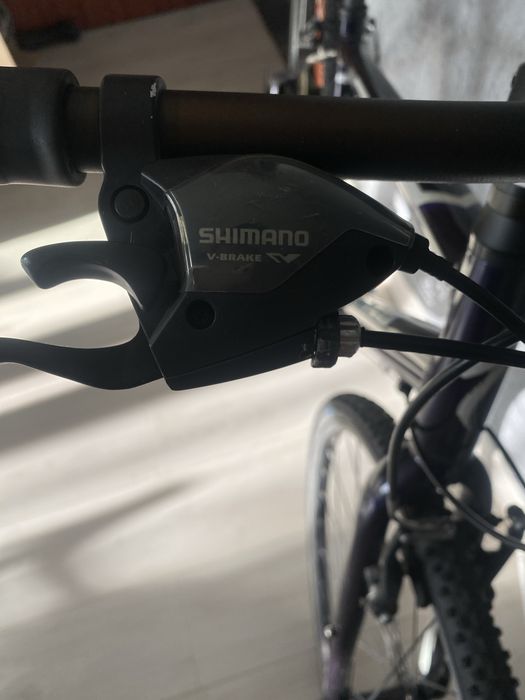 Specialized bicicleta de oras