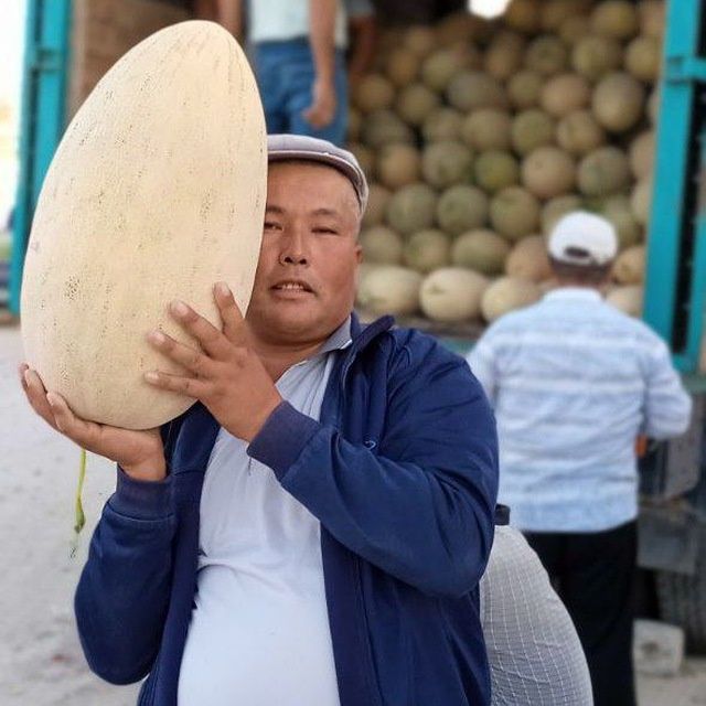 Qavin ayriford Qashqadaryo viloyati kosan tumani dastafka bo r