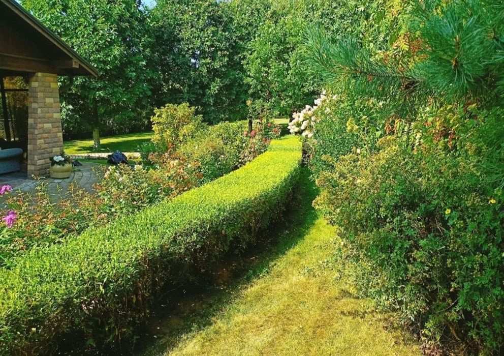 Садовник, Вогбон по городу Ташкенте работаю