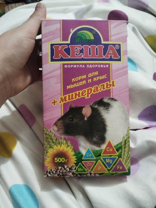 Вещи для грызунов