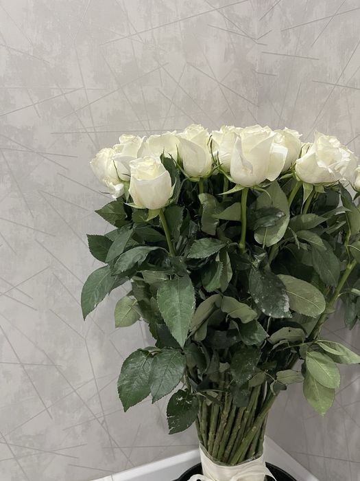 Метровая роза срочно