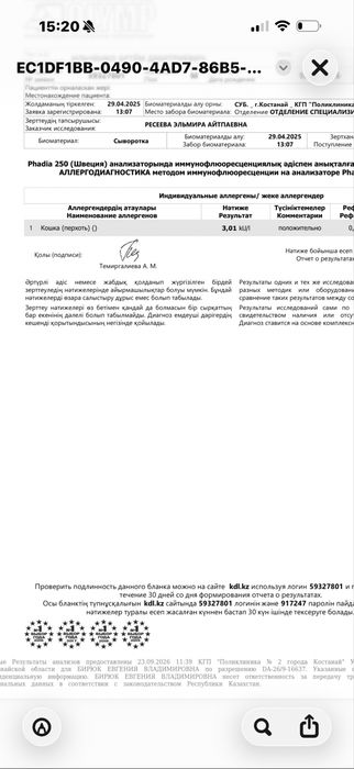 Отдам кошку в добрые руки!
