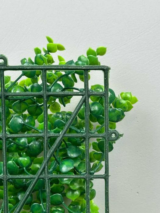 Декор для дома и офиса | Фитостена