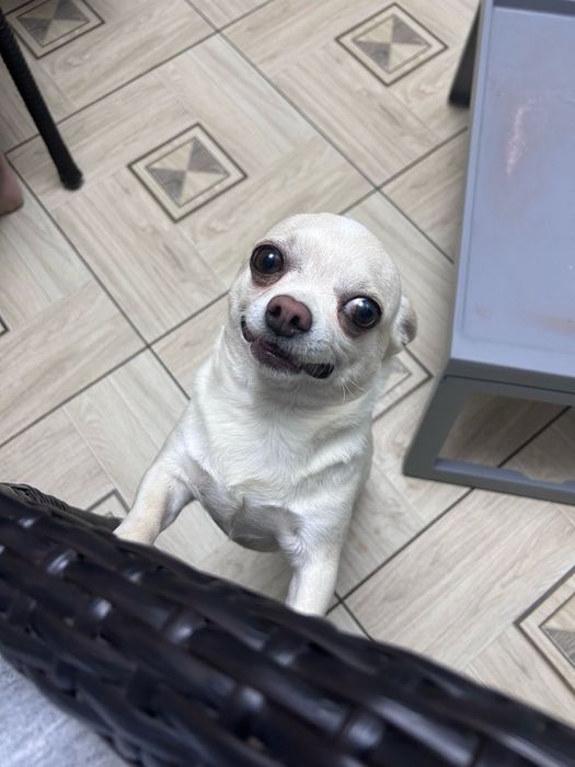 Вязка!! Кабель 3 года !!!