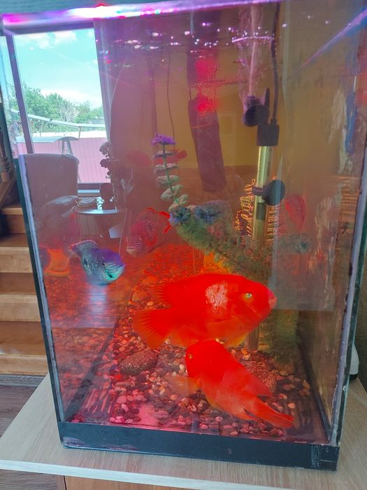 Продам хороший аквариум с тумбой