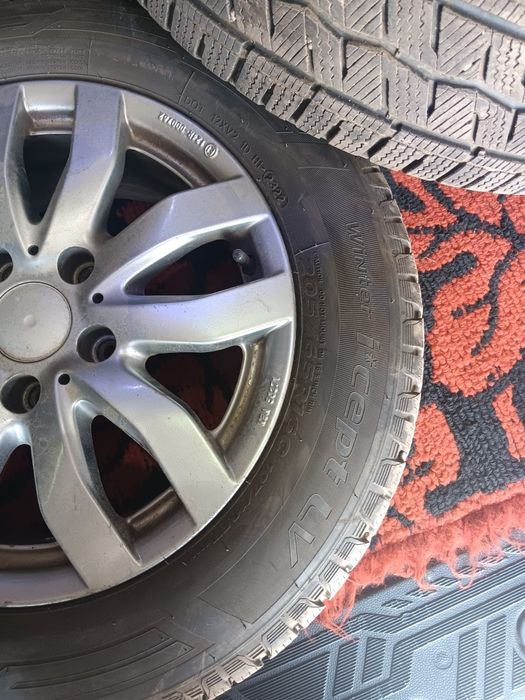 Jenti Aliaj și cauciucuri de iarnă T6