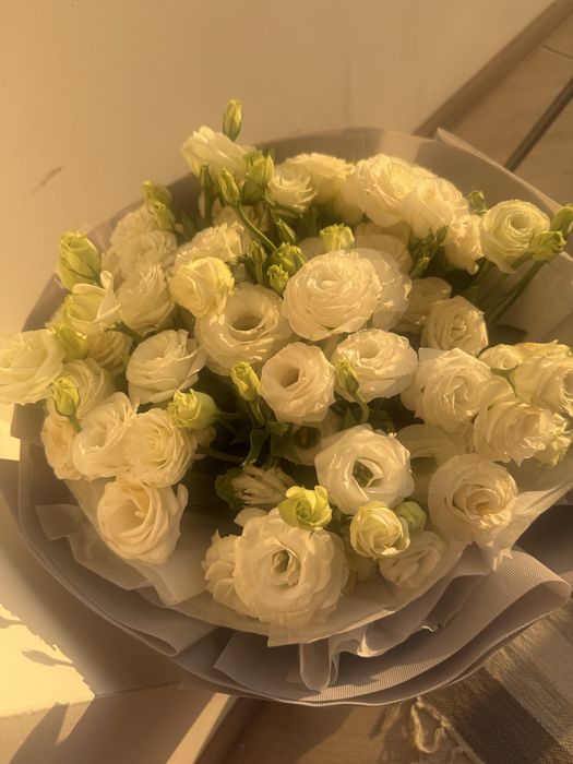 Цветы розы продам