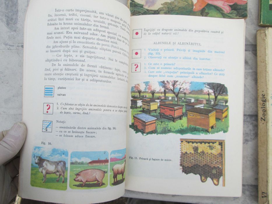 Manuale scolare vechi :mate, citire,  zoologie, etc din "78, "79