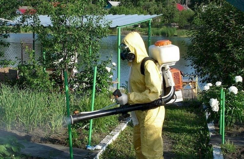 Дезинфекция, обработка участков от клещей и комаров