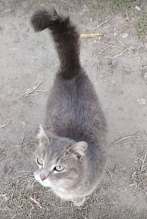 Девочка 6 месяцев стирильная