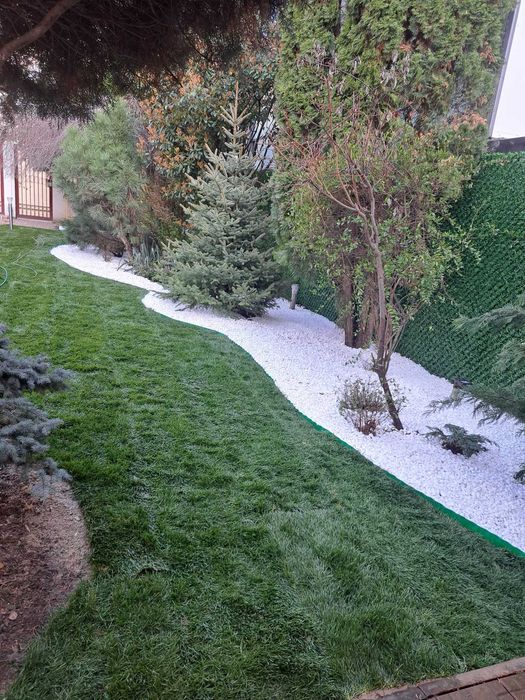 Vând magnolie, leylandi, spirală, pon pon, bonsai, măslin, gazon, tei