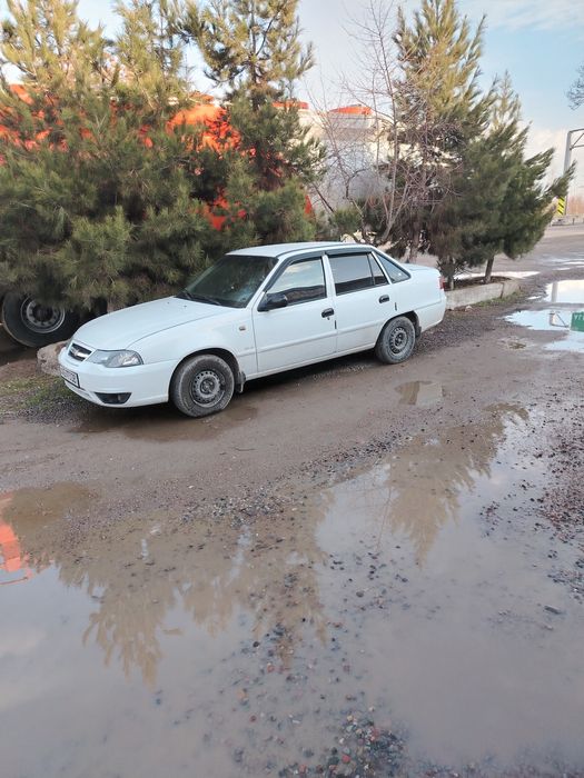 2010 gibrit super radnoy kraska