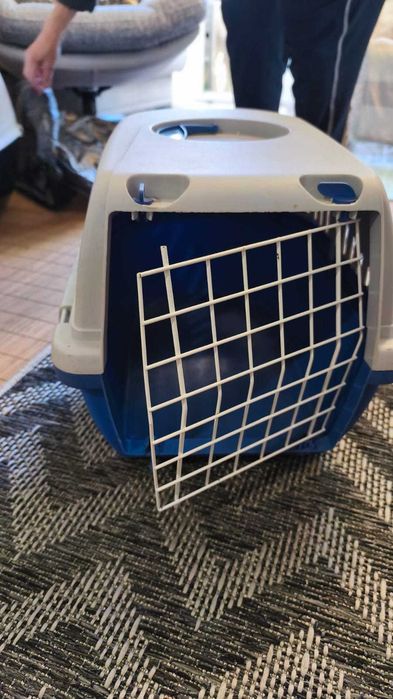 Adăpost pisici sau animale de companie