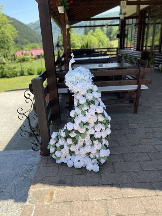Vând firmă decorațiuni evenimente