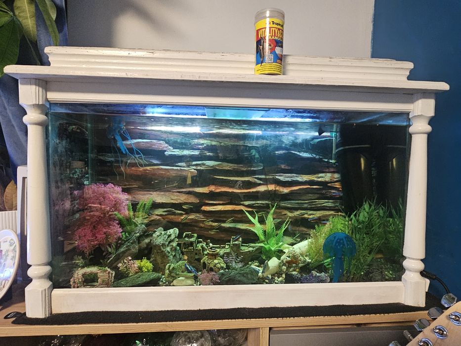 Аквариум с рибки действащ оборудван