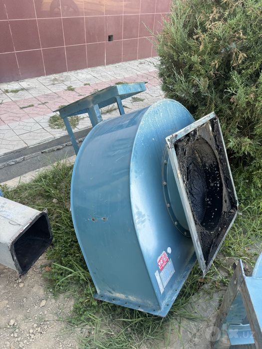 Ulitka hovotortadigan sotiladi 4 ta bor
