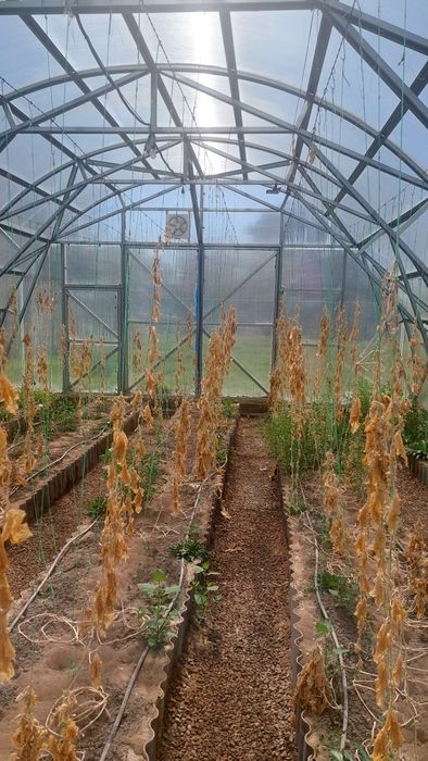 Продается теплица