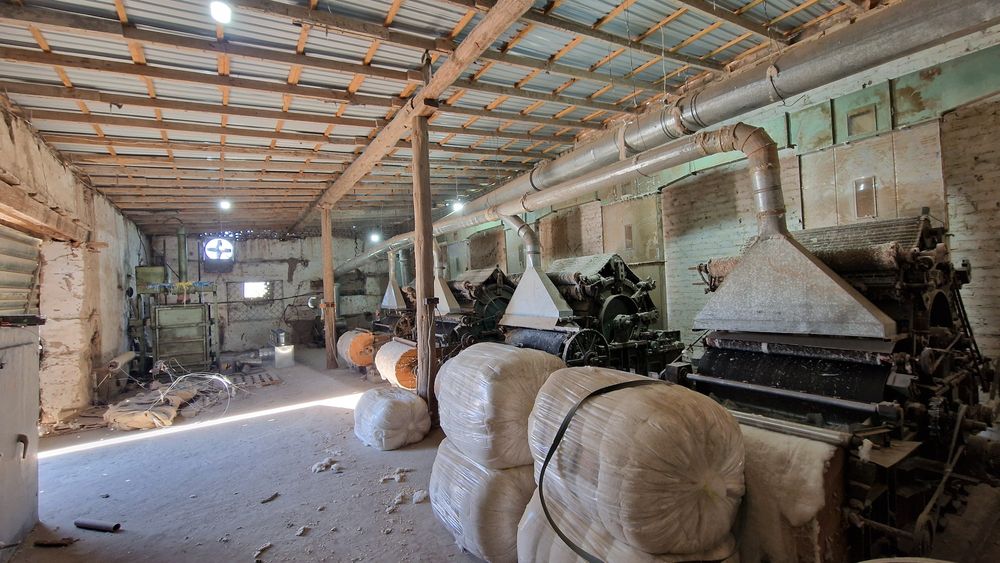 Paxta toylash stanoklari