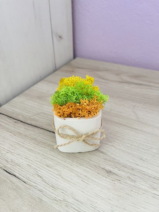 Кашпи със скандинавски мъх