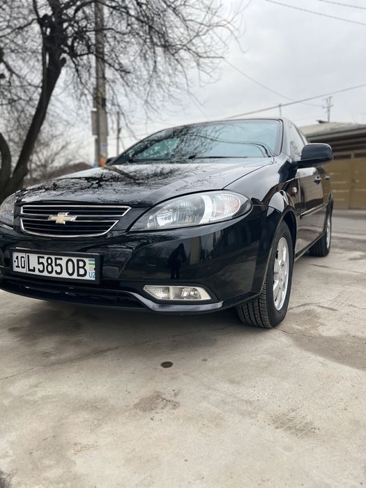 Жентира 2023 краска тозза