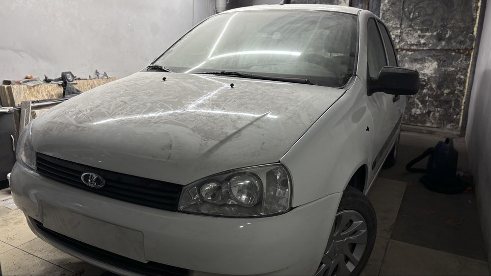 Продам калину 2011