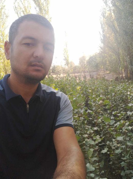 Terak koʻchat 800 soʻmdan