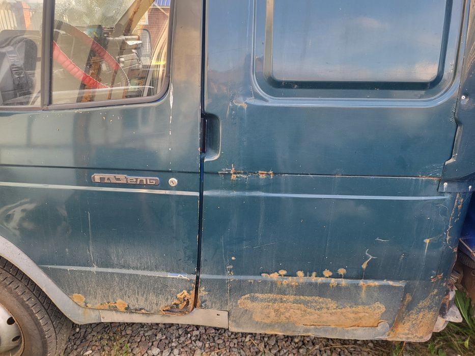 Газель удлинённая