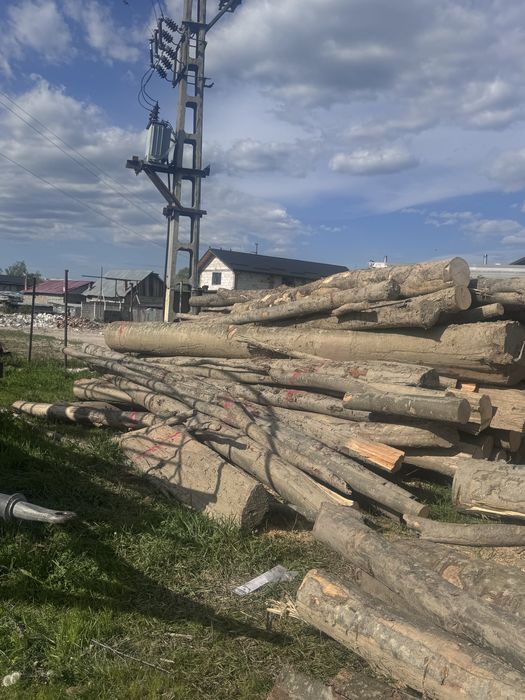 FAG vand lemn de foc