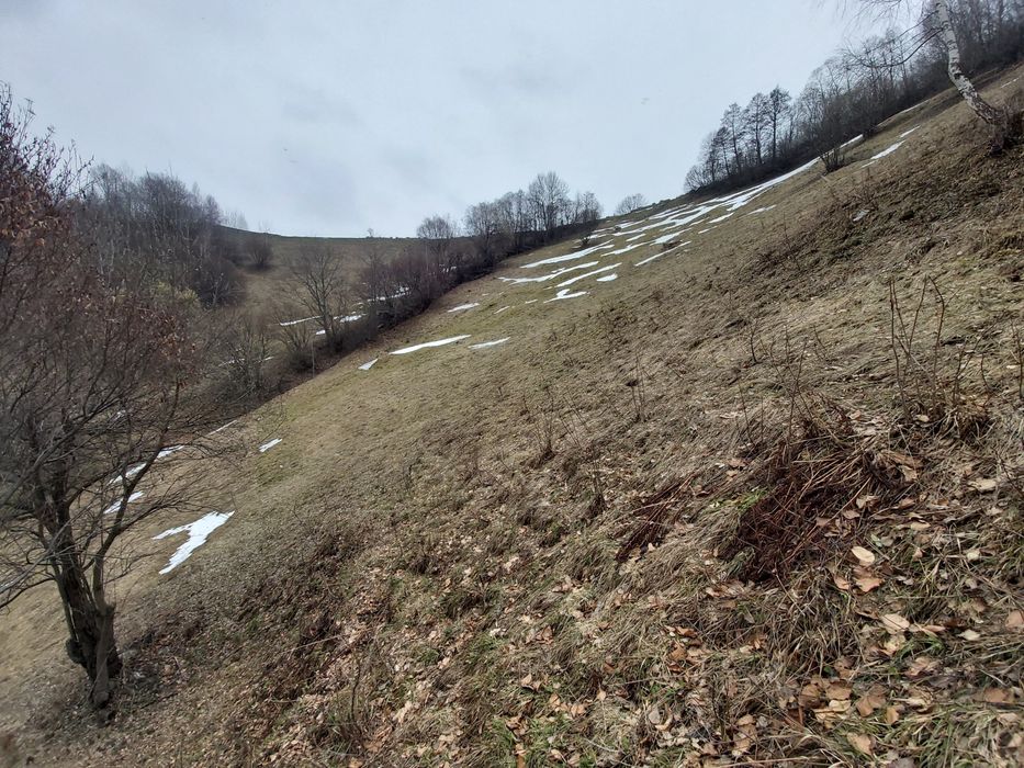 Teren de vânzare