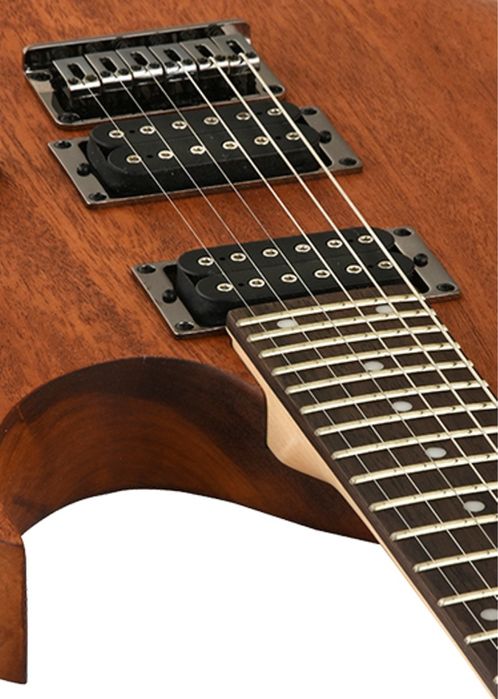 Электрогитара Ibanez RG421-MOL новая