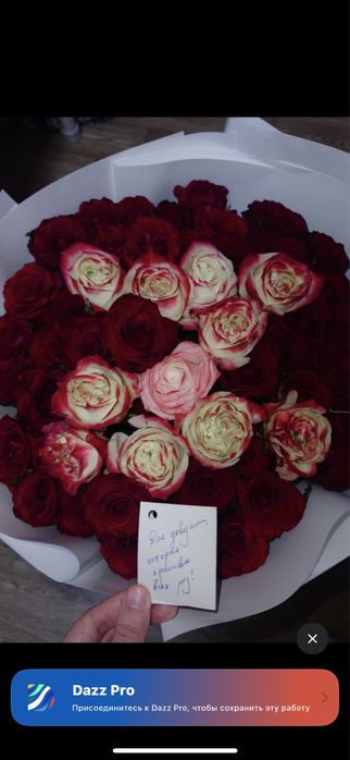 Цветы с первой буквы 51 роза