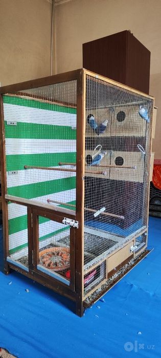 неразлучка 4та +кафас 1,5-1м