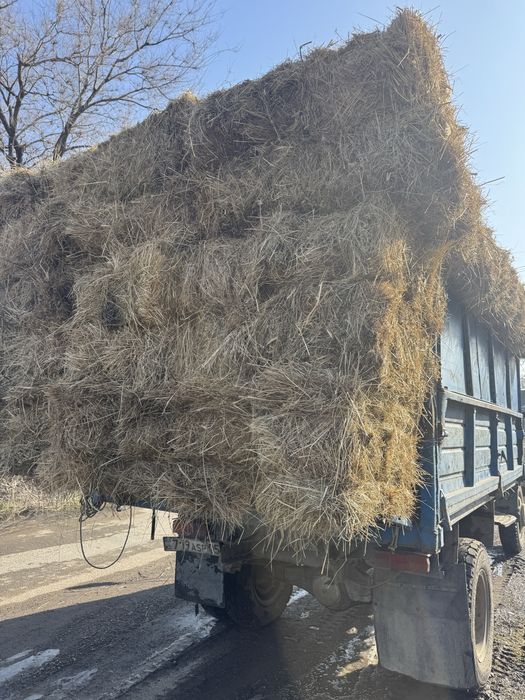 Жонышка,жай шоп