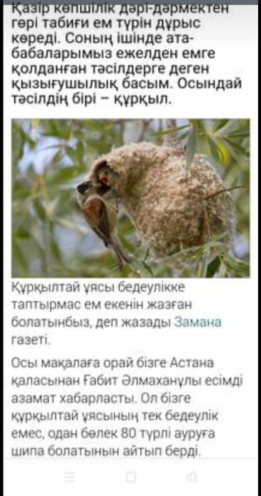 Құрқылтайдын ұясы