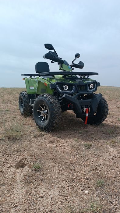 Квадроцикл Honda Linko 250