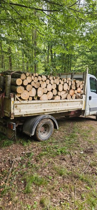 Lemne de foc fag, carpen!