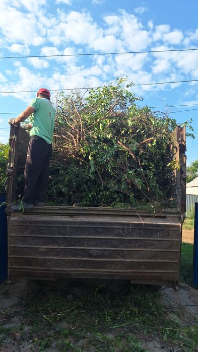 Вывоз мусора с грушяками и без.